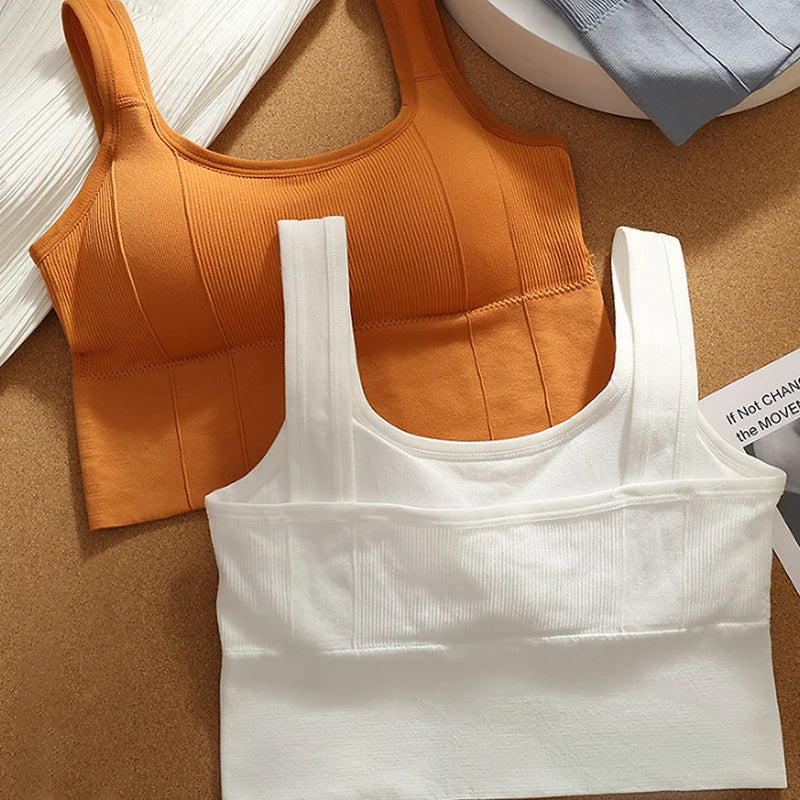 Olivia Ribbed Fitted Seamless Bra | Scoop Neck Solid Bra