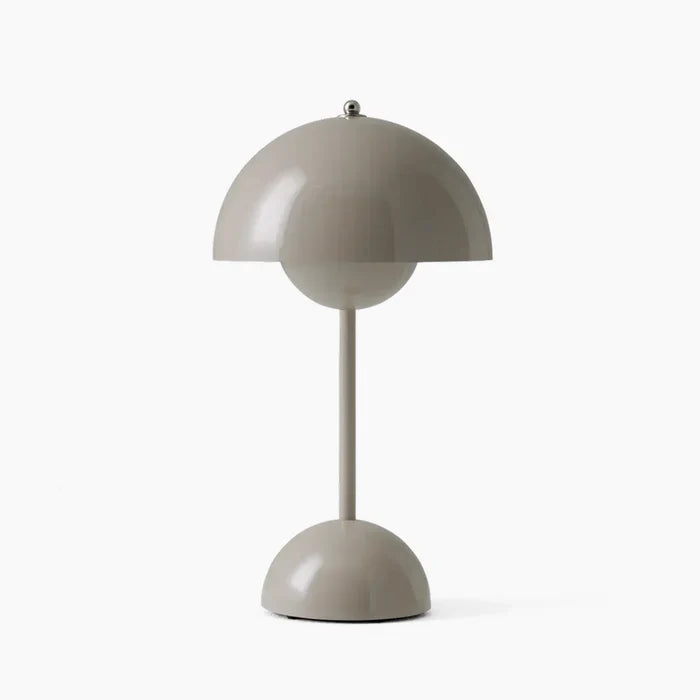 Modern Matte Metal Desk Lamp