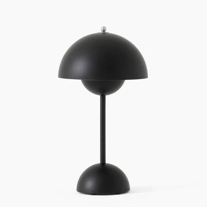 Modern Matte Metal Desk Lamp