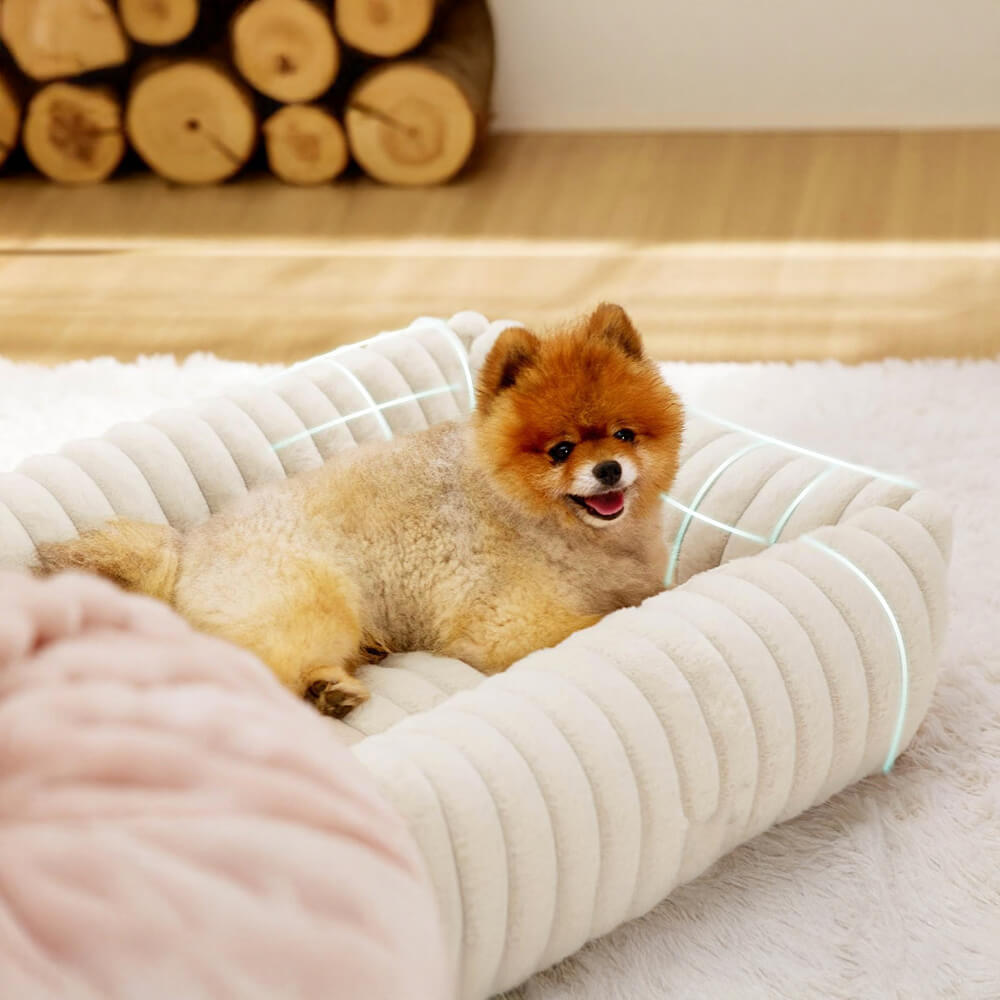 Orthopedic Pet Bed with Bolstered Sides
