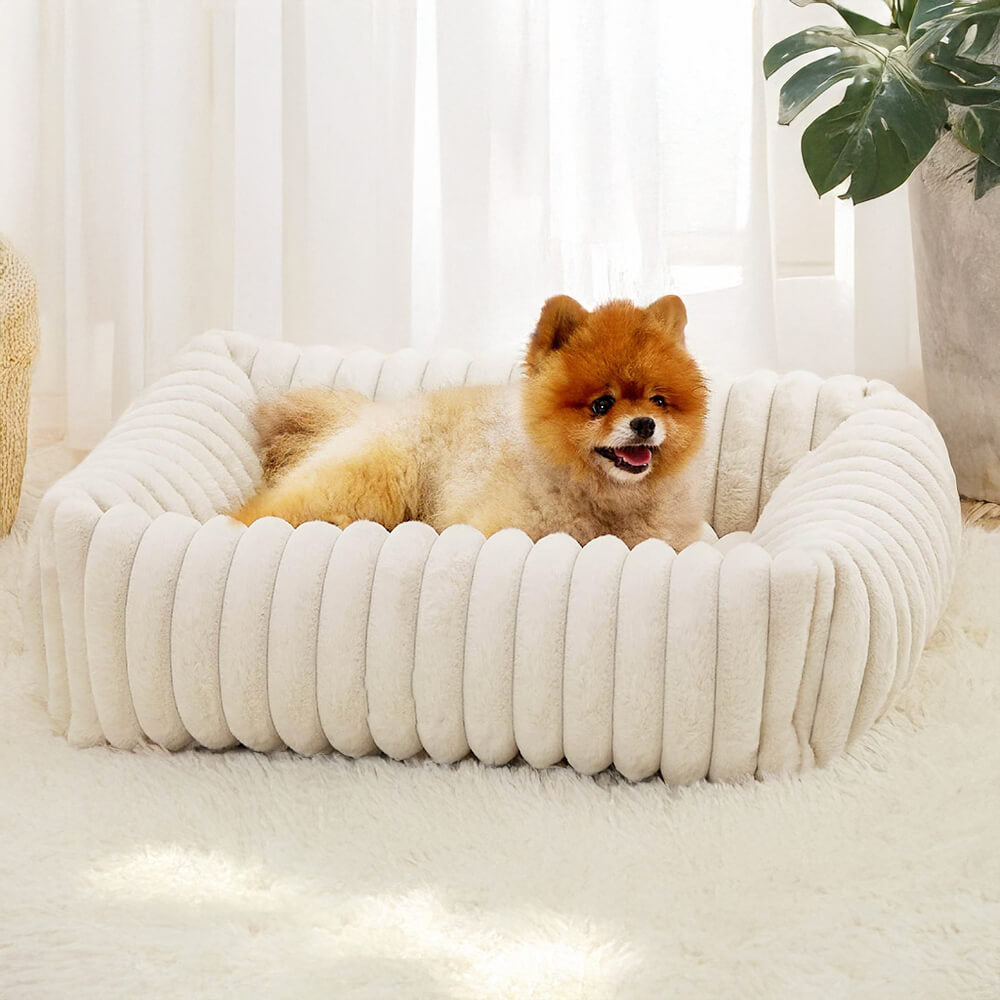 Orthopedic Pet Bed with Bolstered Sides