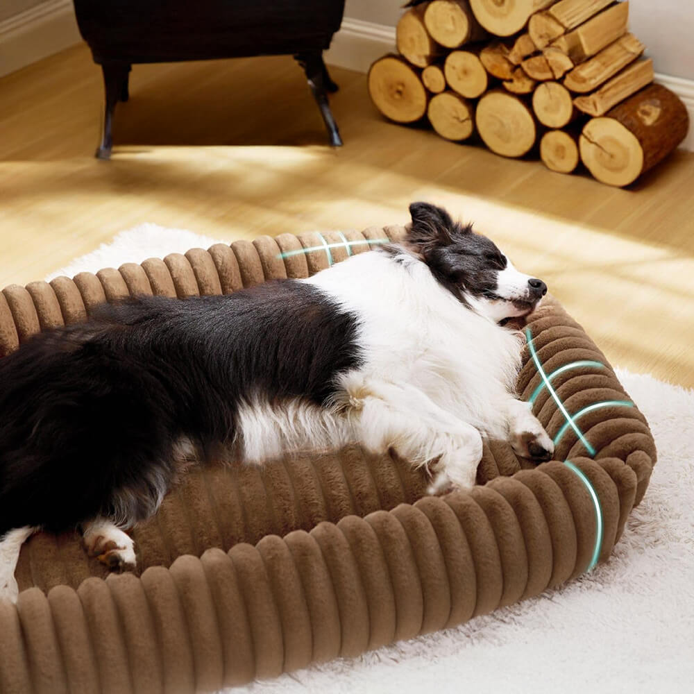Orthopedic Pet Bed with Bolstered Sides