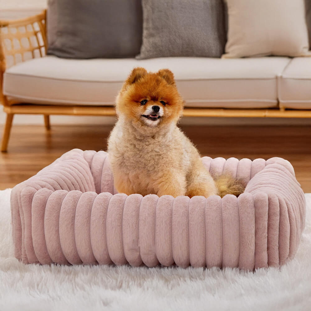 Orthopedic Pet Bed with Bolstered Sides