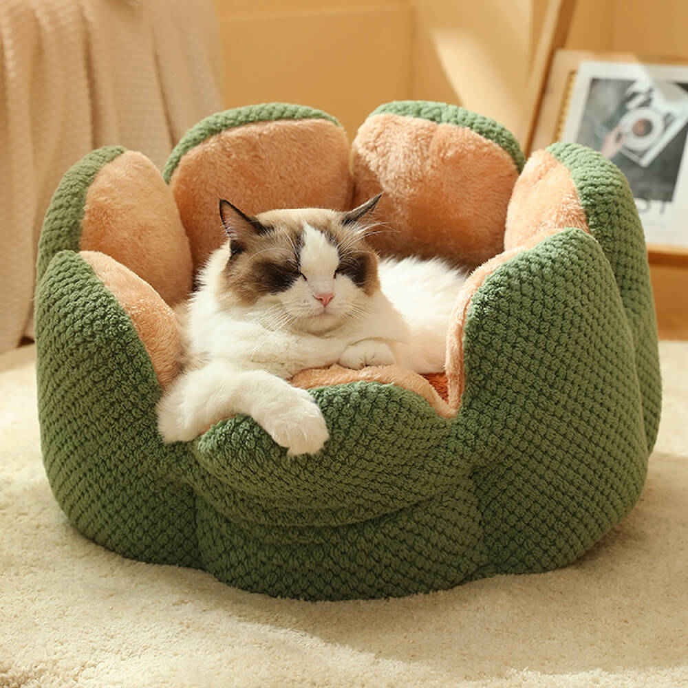 Contemporary Textured Velvet Pet Bed