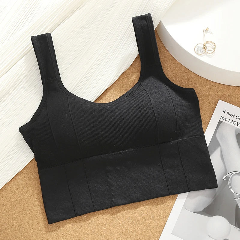 Olivia Ribbed Fitted Seamless Bra | Scoop Neck Solid Bra