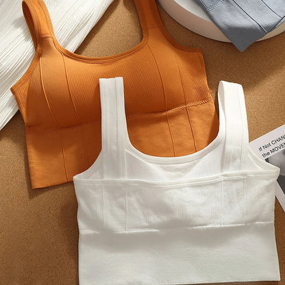 Olivia Ribbed Fitted Seamless Bra | Scoop Neck Solid Bra