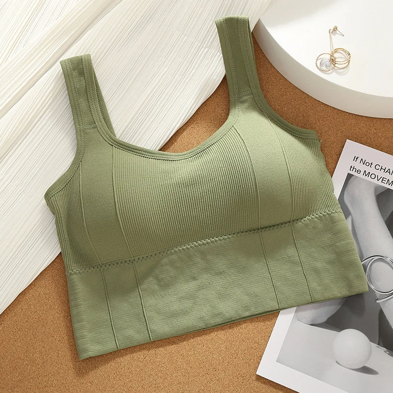 Olivia Ribbed Fitted Seamless Bra | Scoop Neck Solid Bra