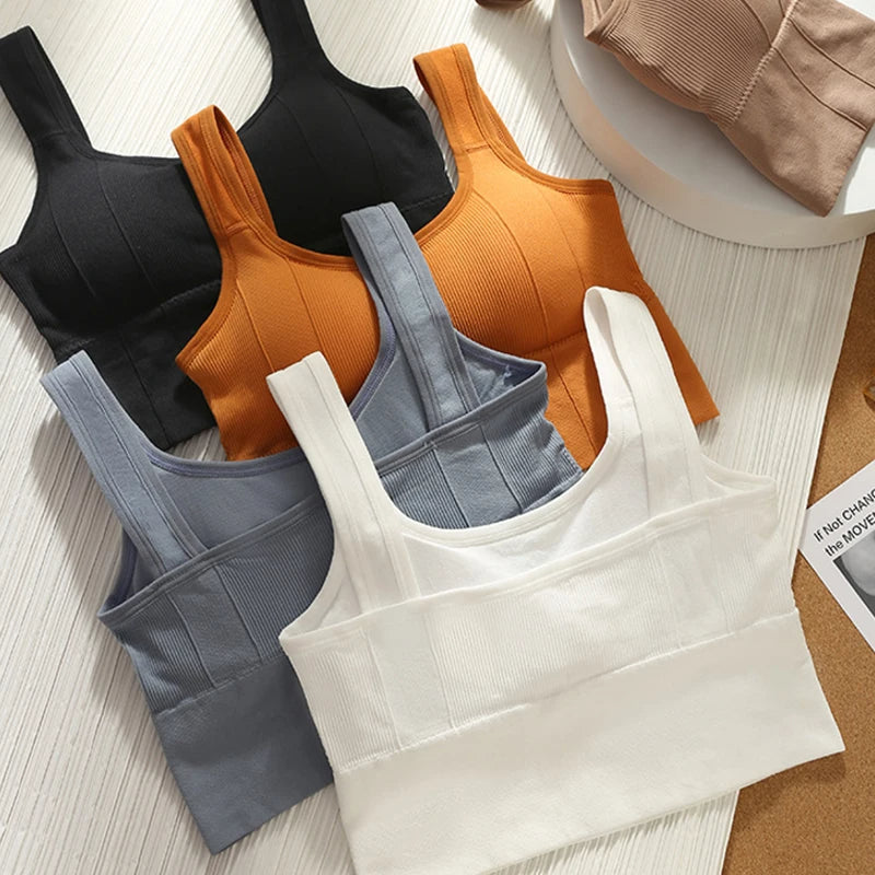 Olivia Ribbed Fitted Seamless Bra | Scoop Neck Solid Bra