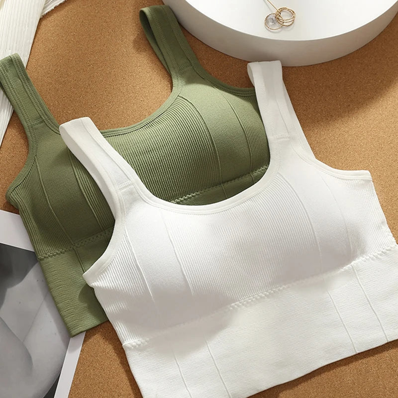 Olivia Ribbed Fitted Seamless Bra | Scoop Neck Solid Bra